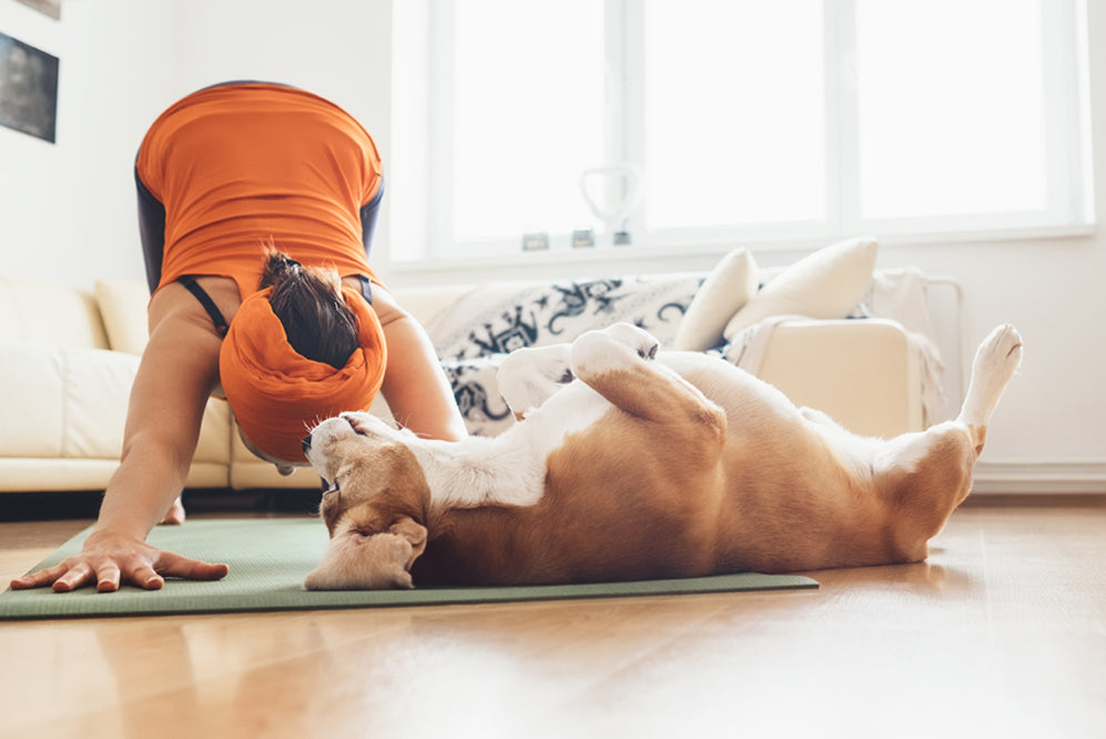 What is Doggy Yoga?