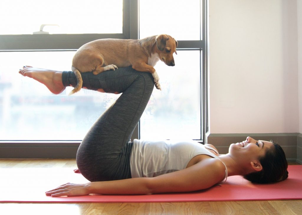 What is Doggy Yoga?